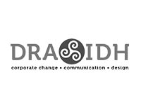 logo draoidh grey
